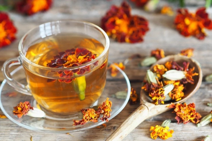 отвар чернобривцев для здоровья