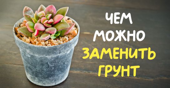 Стиральная машина вибрирует при отжиме: что делать - Мир хитростей