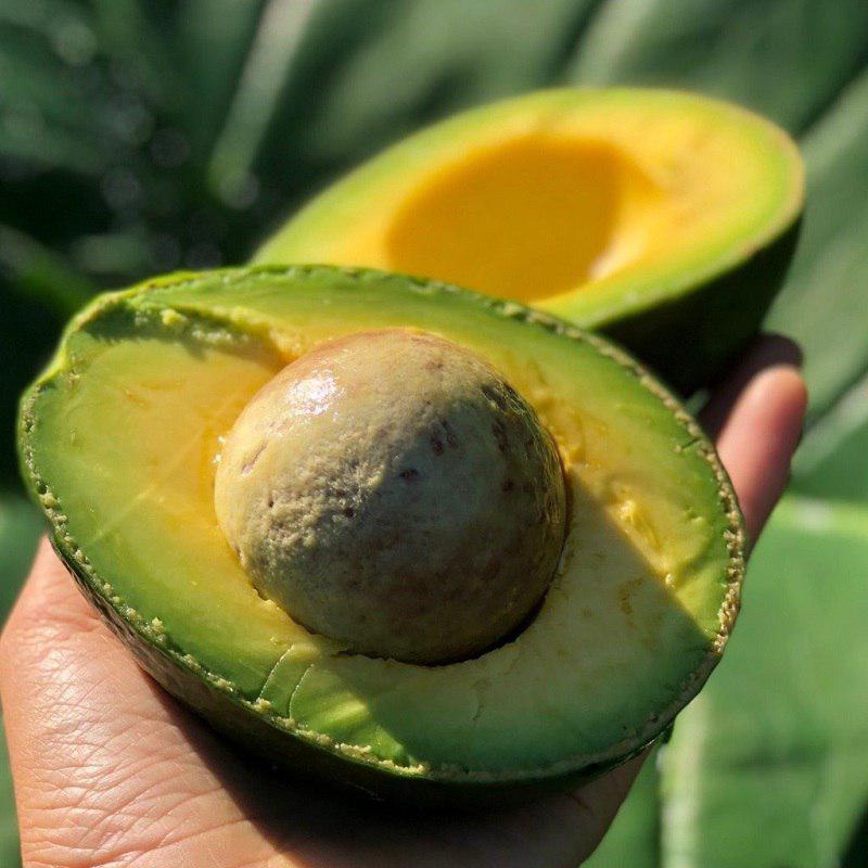 авокадо