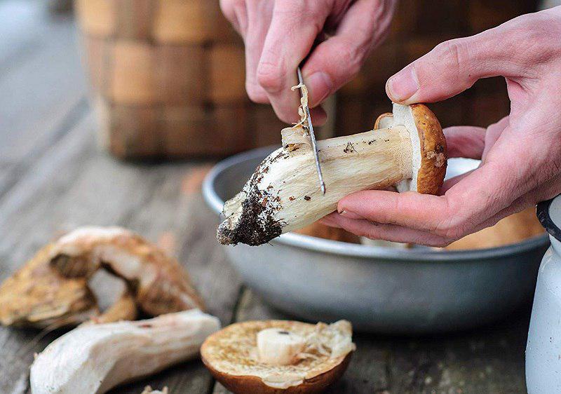 чистка грибов