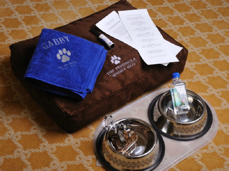 набор для питомца