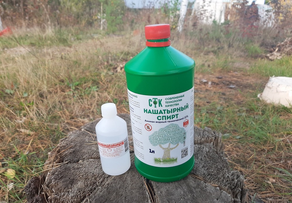 нашатырь в муравейник