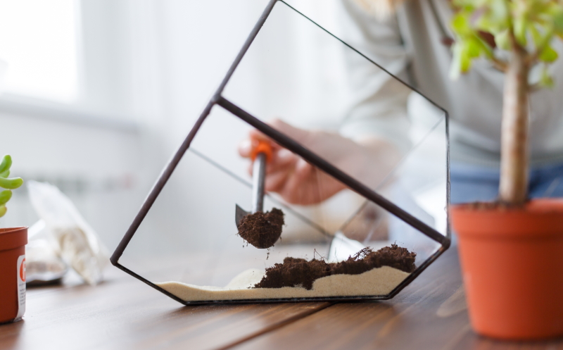 как сделать флорариум в домашних условиях