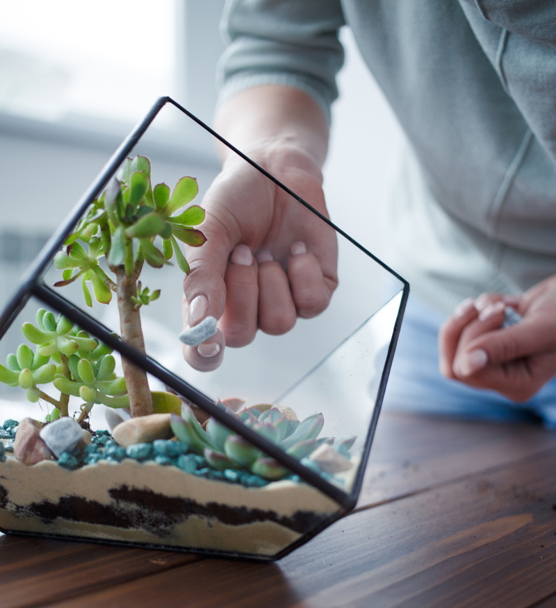 как сделать флорариум самостоятельно