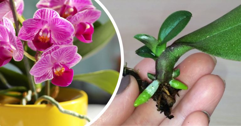 Нагар на кастрюле из нержавейки: как его убрать - Мир хитростей