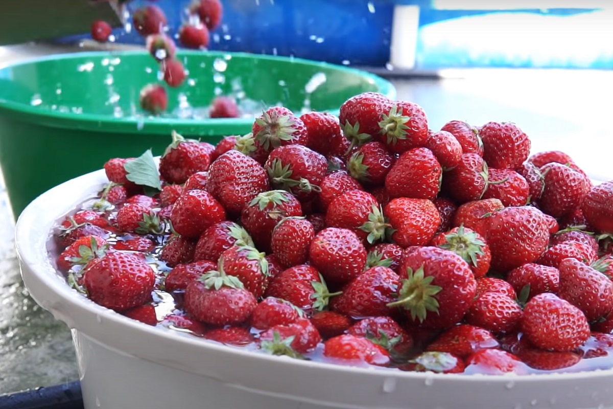 Как заморозить ягоды на зиму