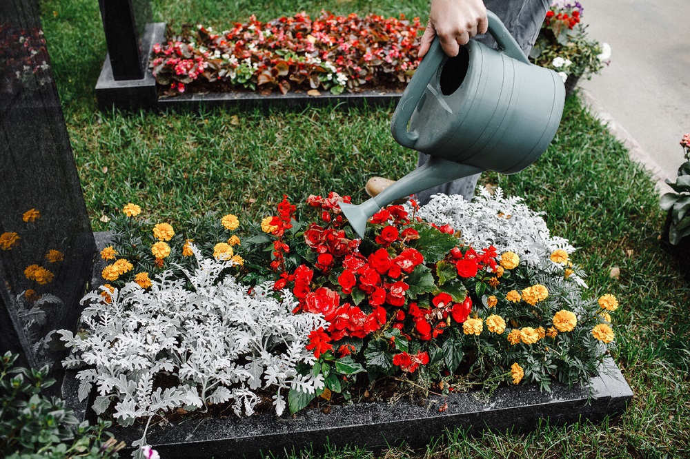 уход за растениями на кладбище