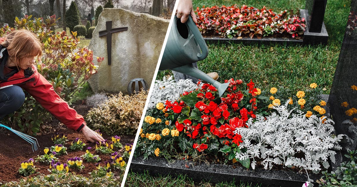 цветы нельзя сажать на кладбище