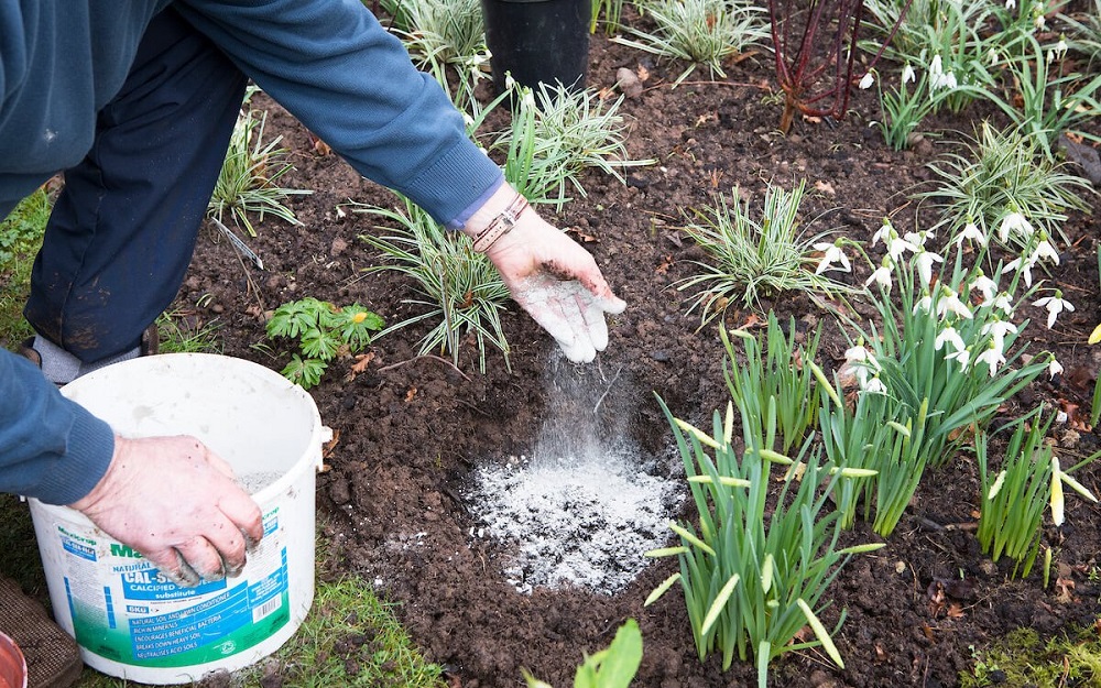 зола для растений
