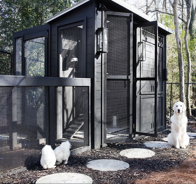 минималистический курятник