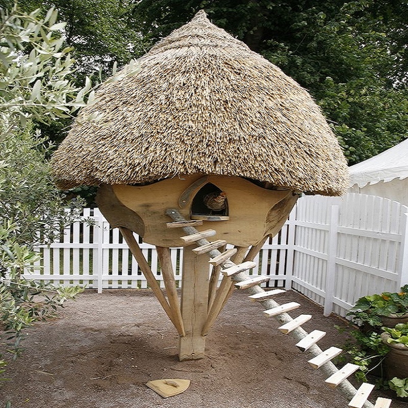 африканский домик для кур