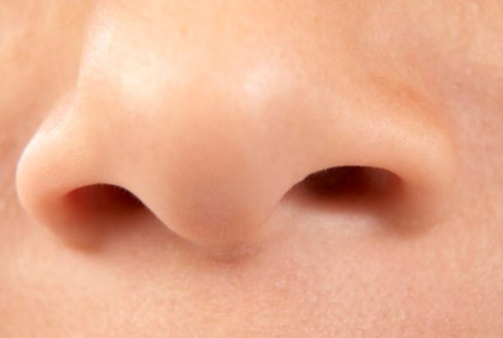 неизвестные названия перегородка носа
