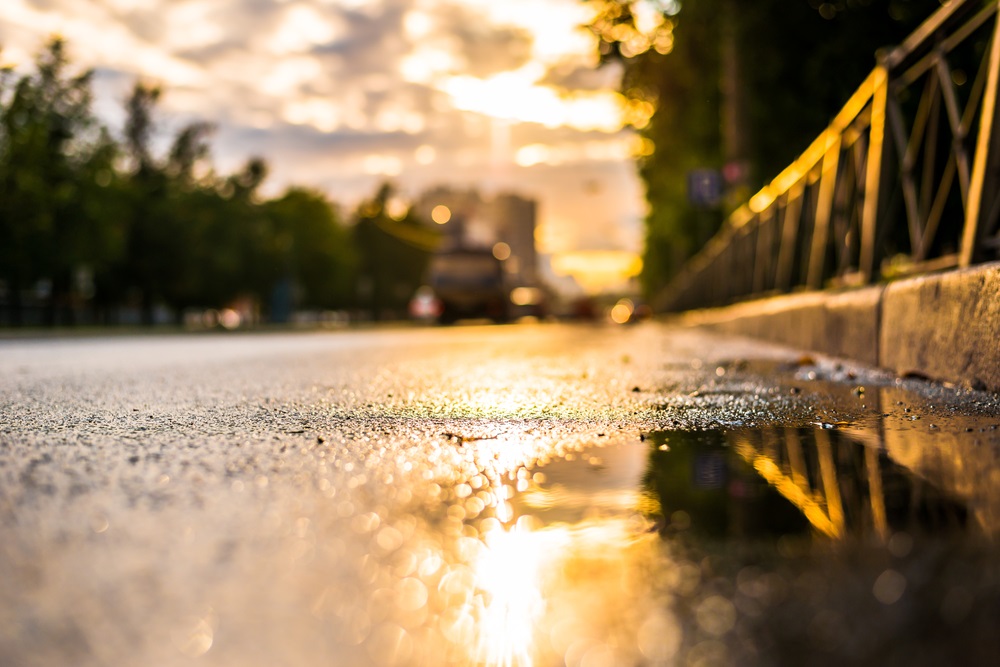 запах после дождя