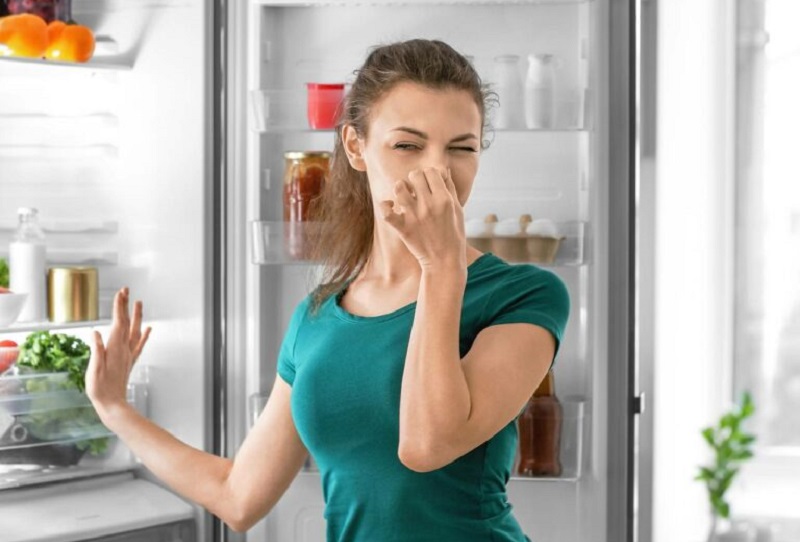 неприятный запах в холодильнике