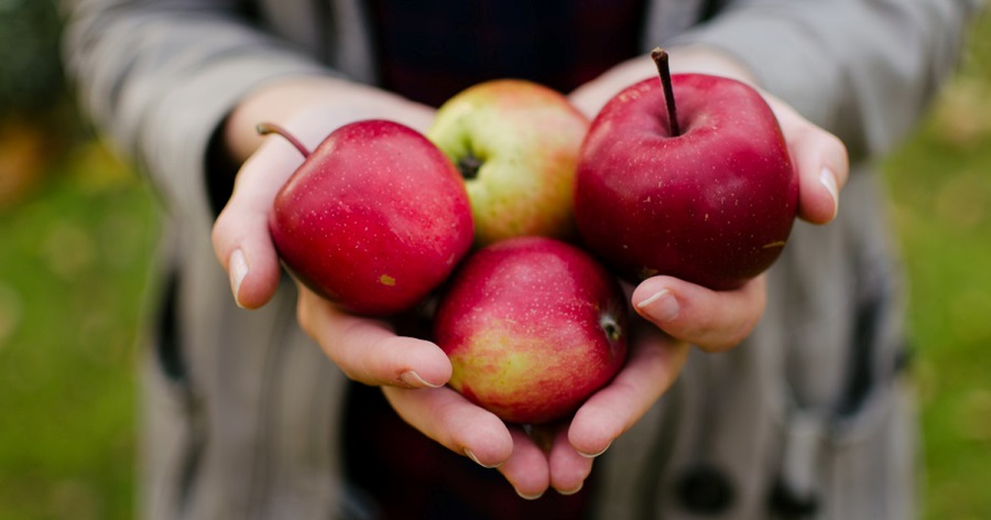 польза яблок для здоровья