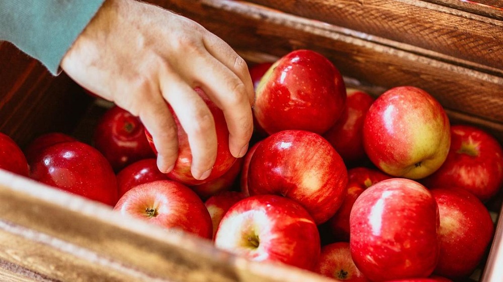 снижение риска рака яблоки