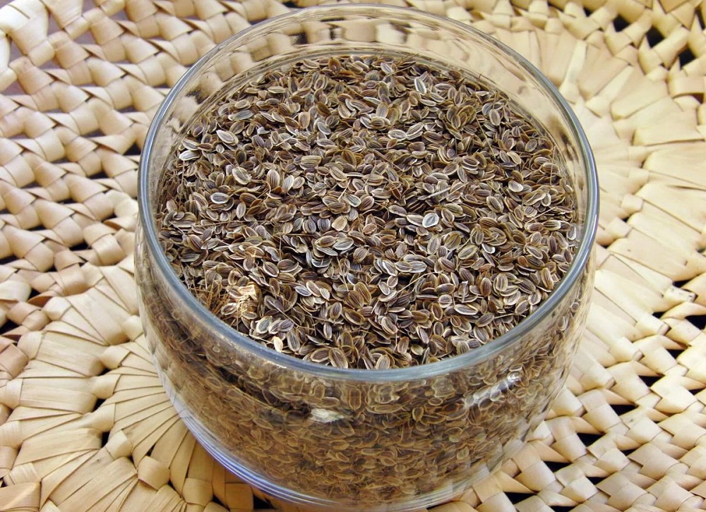 чем полезны семена укропа