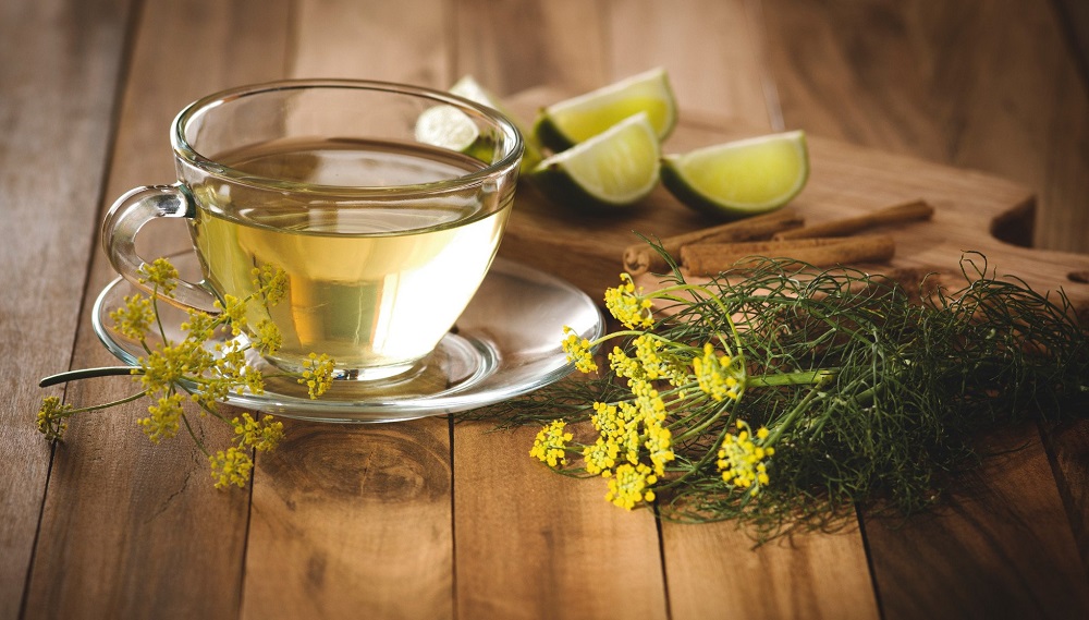 польза укропа для организма