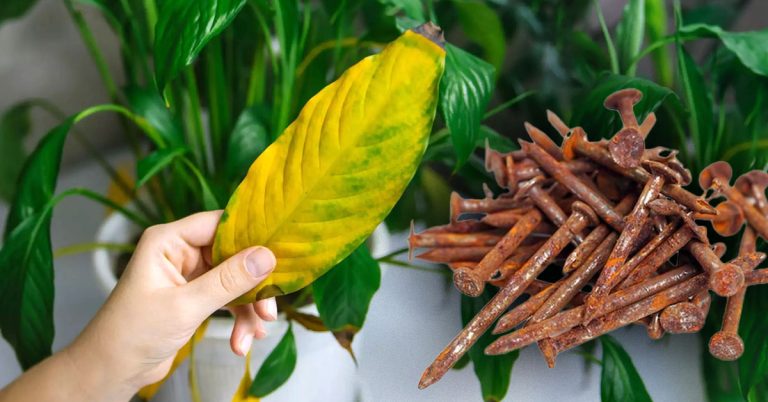 Как хранить стеклянные банки - Мир хитростей